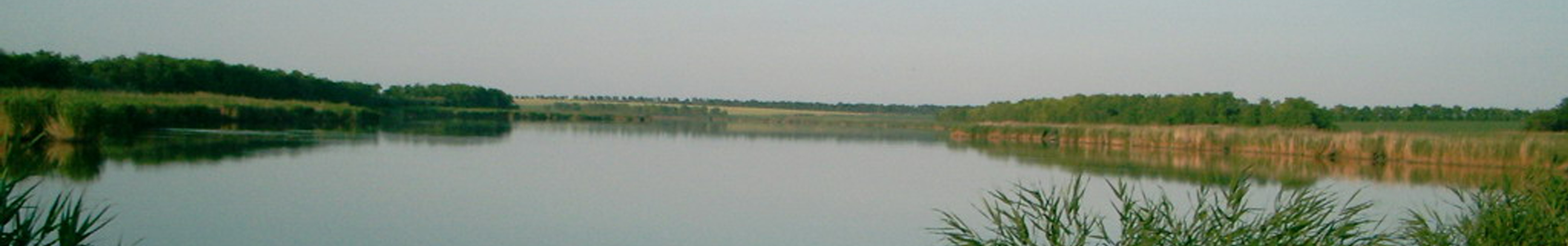 Panorama4.jpg